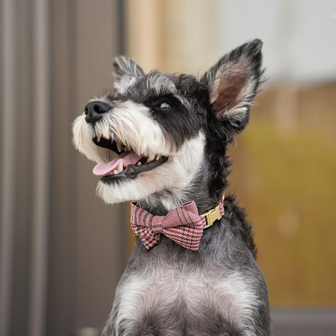 Beirui Cute Extra Small Dog Harness Collar and Leash Set with Bowtie, Soft Adjustable Plaid Puppy Harness for Small Sized Dogs Cats Walks Parties and Photoshoots(Maroon,XS:Chest 13-18")