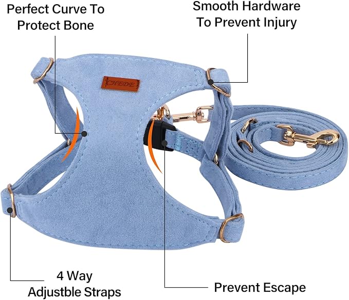 CHEDE No Pull Puppy Harness and Multifunction Dog Leash Set- 8 Colors Soft Adjustable No Choke Escape Proof Cute,Lightweight Pet Vest Harness for Small and Medium Dog (S, Blue)