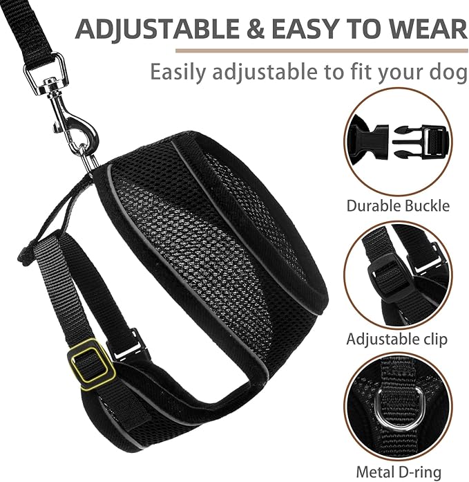 PUPTECK Soft Mesh Dog Harness and Leash Set Pet Puppy Cat Comfort Padded Vest No Pull Harnesses