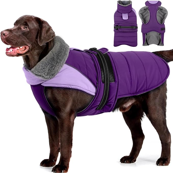 MIGOHI Snowproof Dog Coat - Thick Fleece Dog Jacket with Adjustable Collar, Keep Warm Winter Coat for Medium Dogs Cold Weather Walking Playing,Australian Shepherd,XL,Purple
