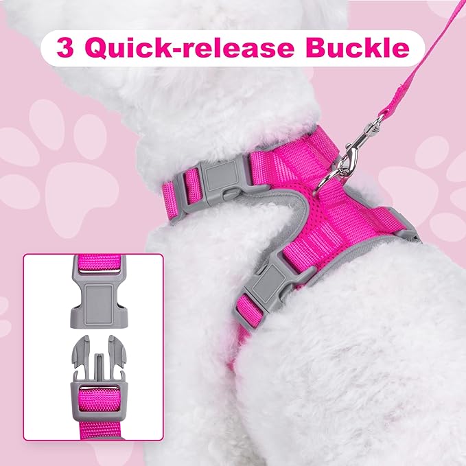 Small Dog Harness and Leash Set，No Pull Adjustable Pet Harness for Small Dogs ，Breathable Mesh Reflective Dog Vest Harness (Rose Red, XS)
