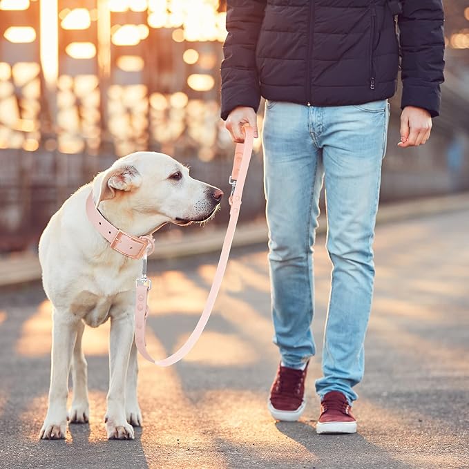 Wisedog Waterproof Dog Leash – 5ft/6ft Adjustable with 2 Metal Swivel Hooks, Easy to Clean Dog Leashes for Small, Medium, Large Breed Dogs (Gossamer Pink,S)