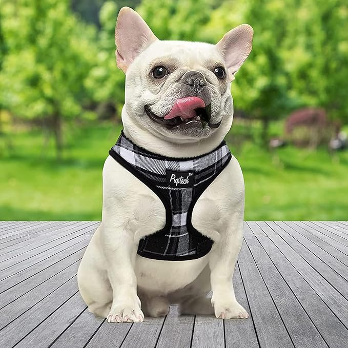 PUPTECK Soft Mesh Dog Harness and Leash Set Pet Puppy Cat Comfort Padded Vest No Pull Harnesses, Black, XL