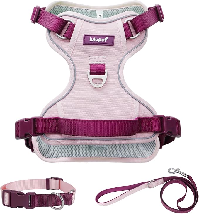 No Pull Dog Harness Leash and Collar Set, Soft Adjustable Dogs Vest Reflective and Comfortable Handle Pink Large