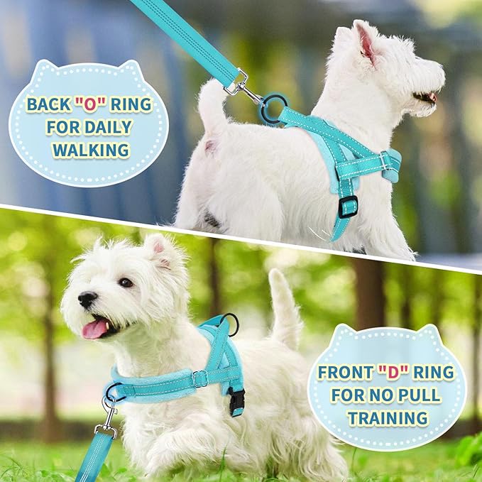 SlowTon No Pull Small Dog Harness and Leash Set, Puppy Soft Vest Harness Neck & Chest Adjustable, Reflective Lightweight Harness & Anti-Twist Pet Lead Combo for Small Medium Dogs (BL-Front Clip,XS)