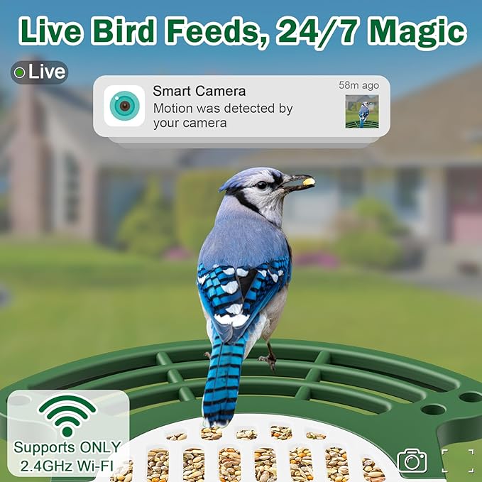 Smart Bird Feeder with Camera Solar Powered - AI Bird Identification, 2.4Ghz WiFi, 2K HD Video Live Stream Camera, 3MP Photos, 2.9in Focus, Gifts for Mom Dad Birdlovers, Green