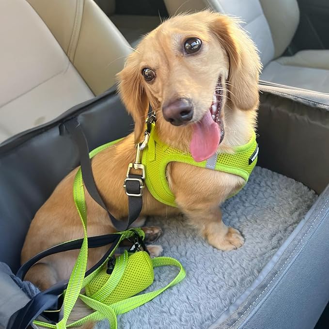 Voyager Step-in Air All Weather Mesh Harness and Reflective Dog 5 ft Leash Combo with Neoprene Handle, for Small, Medium and Large Breed Puppies by Best Pet Supplies - Set (Lime Green), M