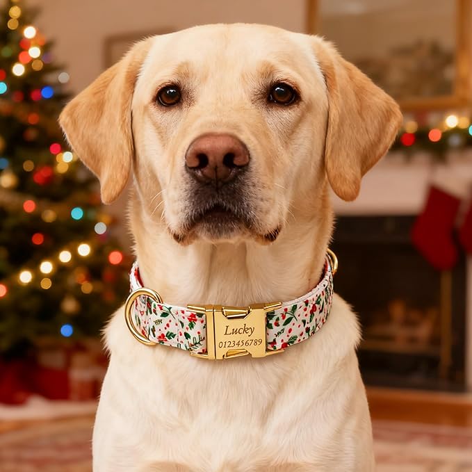 Custom Dog Collar with Name, Optional Dog Leash Airtag Holder and Bow Tie,Personalized Dog Collars for Small Medium Large Dogs,Cute Collar for Male Female Dogs (Christmas-Series)
