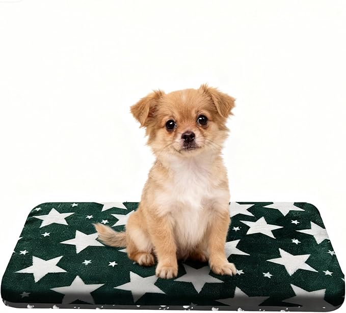 Washable Dog Bed Plush Orthopedic Outdoor Crate Mat with Non-Slip Bottom,Luxe Soft Kennel Pad for Pets, Cozy Cage Cushion & Pet Sleeping Mattress Large Sized,Medium,Small Dogs,24x18 inch,Green