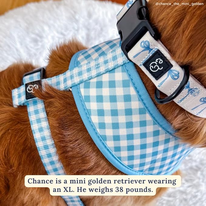 Lucy & Co. Cute Reversible Dog Harness Walking Halter - Best Designer Pet Harnesses for XS - XL Dogs - Padded Adjustable Vest for Easy Walking - Medium - White with Blue Bows