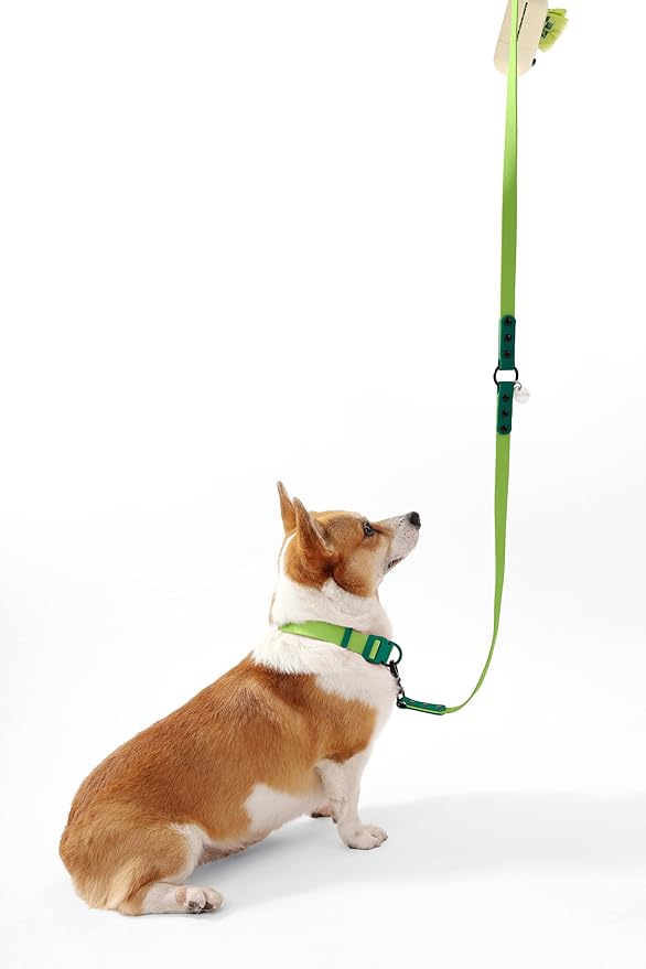 WLK1005B-5SET Luna Medium 8FT Adjustable 6-in-1 Waterproof Hands-Free Leash and Collar with LED Flashlight, Bag Dispenser, and Poop Bag Holder, Mojito