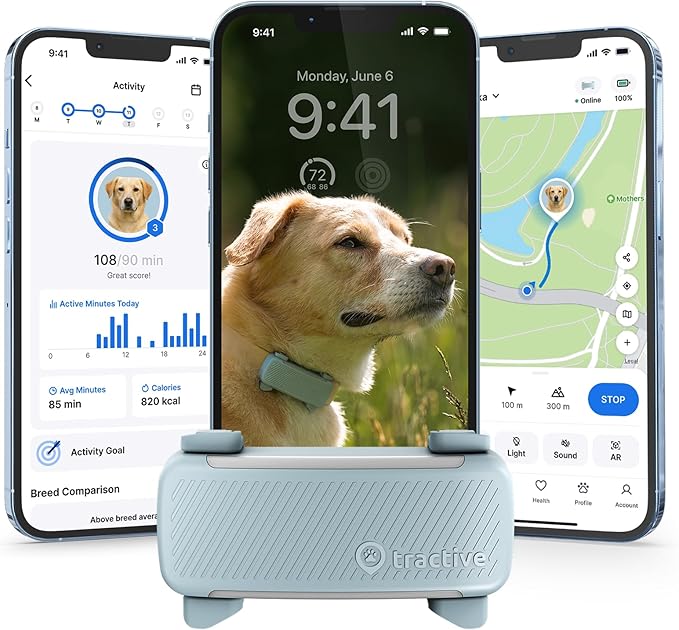Tractive Smart Dog GPS Tracker | Live Pet Tracker with Virtual Fence | Vital Signs Monitoring of Heart & Respiratory Rate | Bark Monitoring | Dog Collar Attachment (Mint)