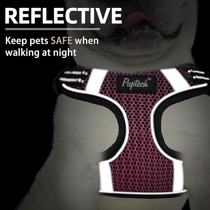 PUPTECK Dog Harness and Leash Set Small Sized, Step in No Pull Adjustable Puppy Cat Harness Reflective Pet Vest