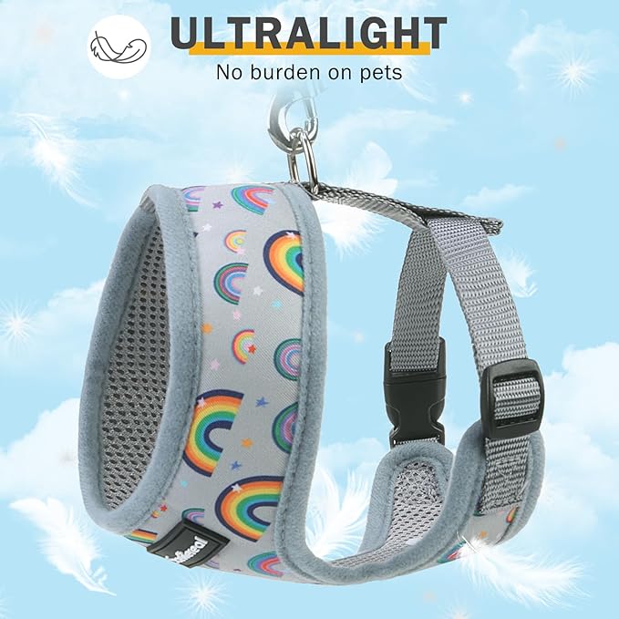 SCENEREAL Small Dog Harness Collar and Leash Set, Adjustable No Pull Pet Harnesses, No Chock Soft Mesh Step in Vest for Doggie Puppy Medium Dogs Cats Girl or Boy,Chihuahua, Yorkie, Outdoor Walking