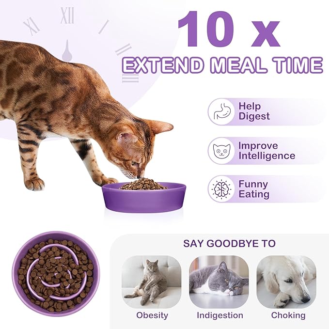 TRUVIC Ceramic Slow Feeder Dog Bowls Small Breed, 0.6 Cup Slow Feeder Cat Bowls for Fast Eaters, Ceramic Dog Food Dish no Black Chin, Puzzle Bowl for Small Dogs and Cats, Purple