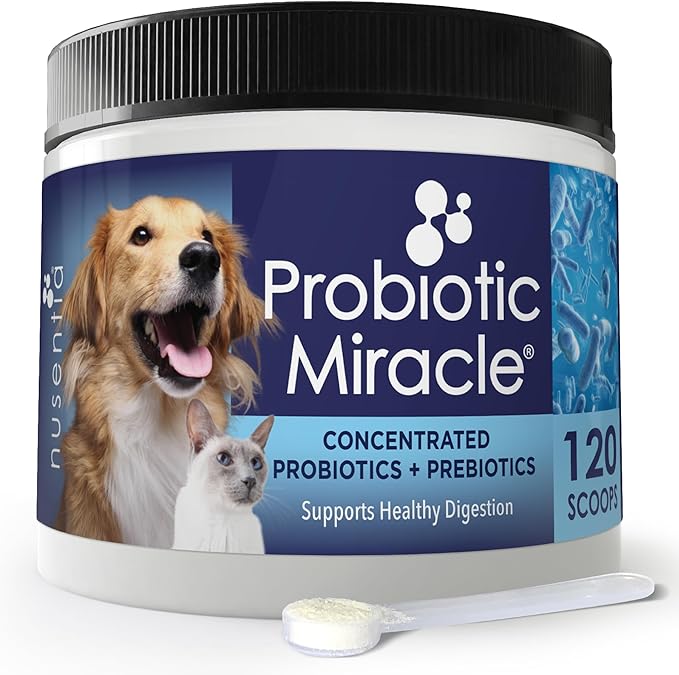 Probiotics for Cats & Dogs : Probiotic Miracle : Bowel & Gut Support : Digestive Health : Stop Diarrhea, Loose Stool