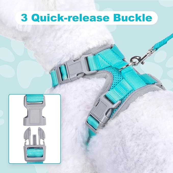 Small Dog Harness and Leash Set, No Pull Adjustable Pet Harness for Small Dogs, Breathable Mesh Rflective Dog Vest Harness (Turquoise, M)