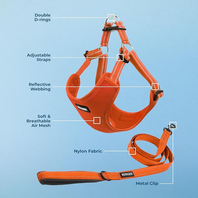 Best Pet Supplies Voyager Mesh Dog Breathable Harness Reflective Stitching, All Weather Adjustable for Walking Training, or Running - Heavy Duty & Durable, Harness Leash Set (Orange), XL