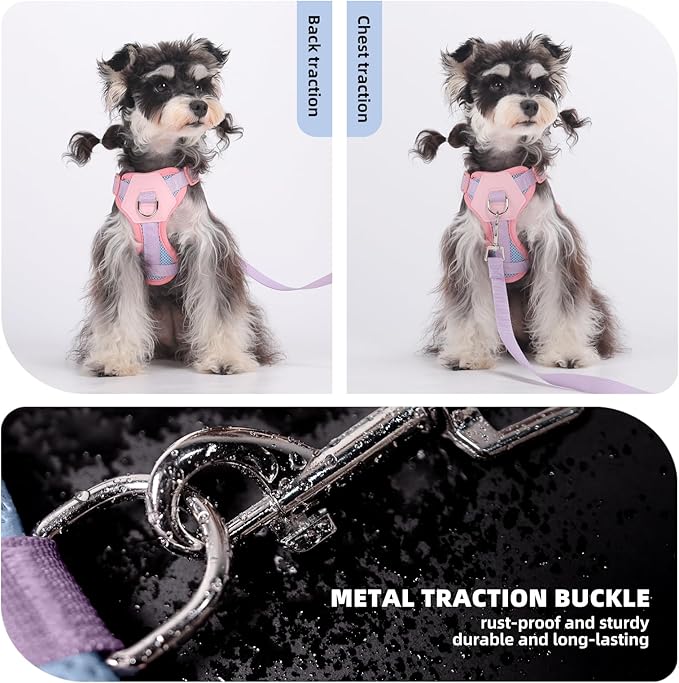 Small Dog Harness and Leash Set, Breathable Mesh Puppy Harness, Adjustable Dog Harness for Small Medium Large Dogs, No-Pull Pet Harness for Daily Walking (Pink, S)