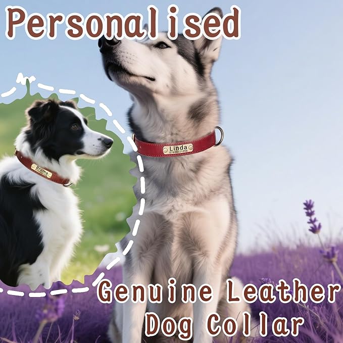 Leather Dog Collar Personalised and Leash Set, Personalized with Soft Padded Design Heavy Duty Featuring Custom Engraved Name Plate for Small Medium and Large Dogs