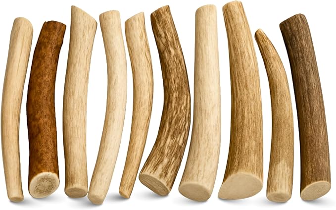 WhiteTail Naturals - Antlers for Small Dogs (10 Pack) Deer Antler Dog Chew Bones for Small Aggressive Chewers - Long Lasting Horn Chew Toys - Naturally Shed