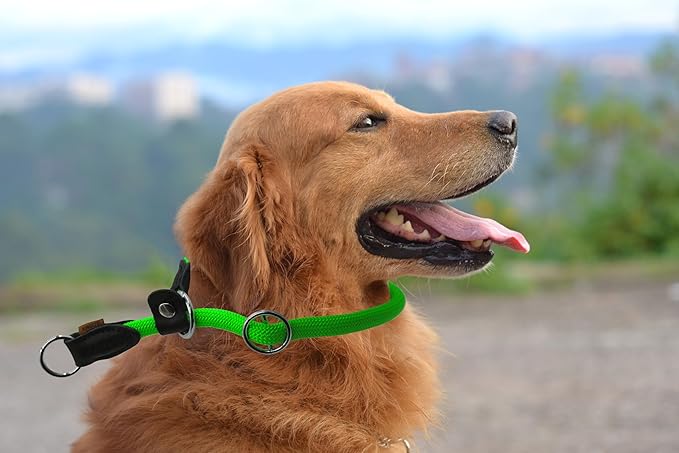 Braided Round Martingale Dog Collar, Training Collar with Slidable Stop Ring and Adjustable Stopper - Ideal for Large Dogs (L(1/2") - 20" Long, Light Green)