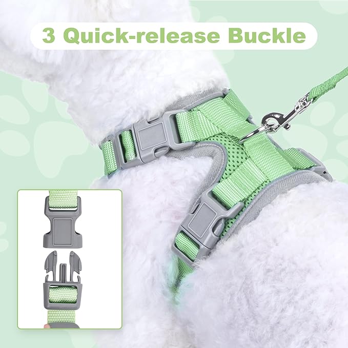 Small Dog Harness and Leash Set, No Pull Adjustable Pet Harness for Small Dogs, Breathable Mesh Rflective Dog Vest Harness (Green, M)