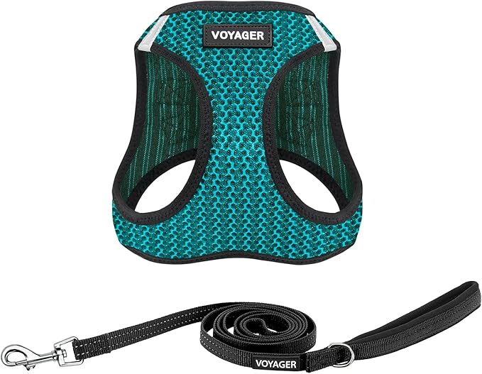 Voyager Step-in Air All Weather Mesh Harness and Reflective Dog 5 ft Leash Combo with Neoprene Handle, for Small, Medium and Large Breed Puppies by Best Pet Supplies - Turquoise (2-Tone),S