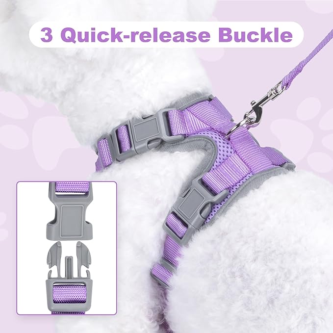 Small Dog Harness and Leash Set, No Pull Adjustable Pet Harness for Small Dogs, Breathable Mesh Rflective Dog Vest Harness (Light Purple, S)