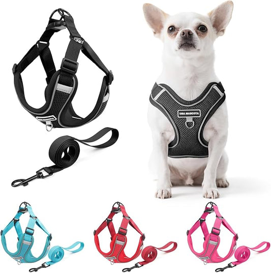 Dog Harness and Leash Set, Adjustable Triangle, Reflective Adjustable Puppy Vest, No Pull Soft Mesh Harness for Small, Medium Dogs, Cats (Black, L)