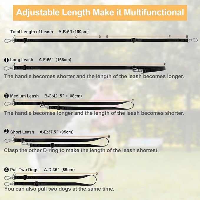 Wisedog Waterproof Dog Leash – 5ft/6ft Adjustable with 2 Metal Swivel Hooks, Easy to Clean Dog Leashes for Small, Medium, Large Breed Dogs (Black M)