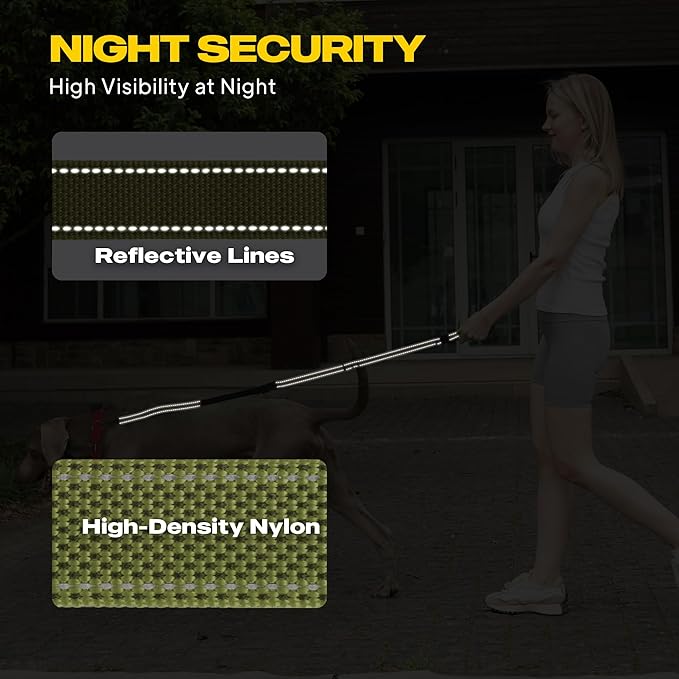 Fida 6-in-1 Hands Free Dog Leash Heavy Duty, Reflective Wasit Corssbody Dog Leash with Car Seat Clip | Adjustable for Running Hiking | Shock Absorbing Bungee, Dual Padded Detachable Handles (Green)