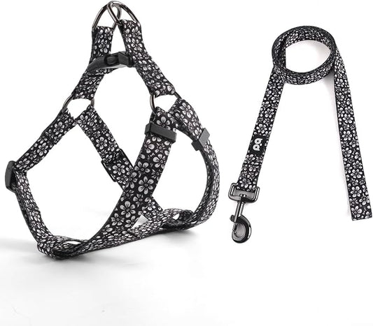 QQPETS Dog Harness Leash Set Adjustable Heavy Duty No Pull Halter Harnesses for Small Medium Large Breed Dogs Back Clip Anti-Twist Perfect for Walking