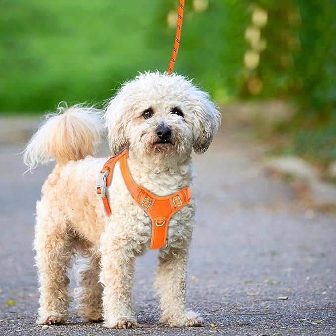 BARKBAY No Pull Dog Harness Large Reflective Dog Harness with Front Clip and Easy Control Handle for Walking Training Running with ID tag Pocket(Orange,XS)