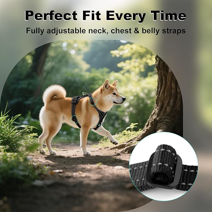 Plutus Pet Adjustable No Pull Dog Harness with Leather Accents, Heavy Duty Reflective Nylon Vest for Training, Hiking, Easy Walk Harness for Small, Medium, Large Dogs (Black, L)