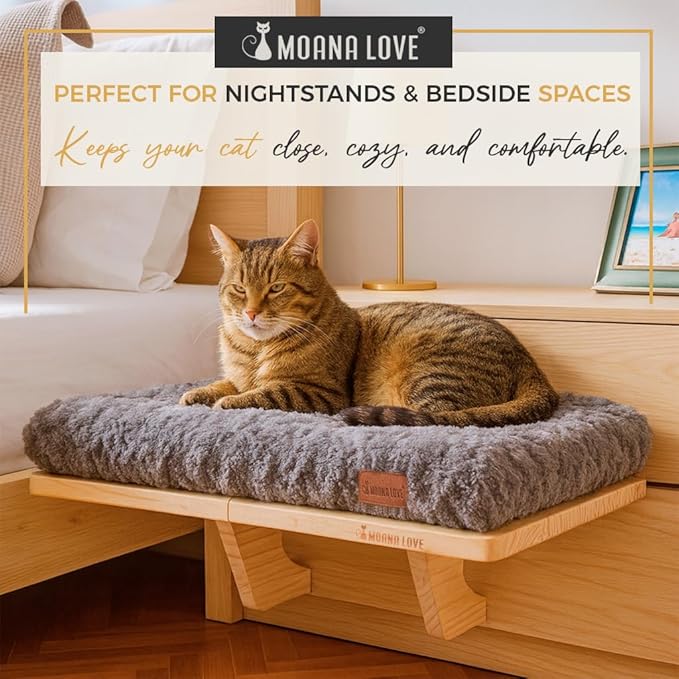 Cat Window Bed - Cozy Window Perch for Cats Inside - Stylish Cat Furniture with Soft Cushion, Perfect Kitten Bed & Cama para Gatos for Sunbathing, Hamaca para Gatos