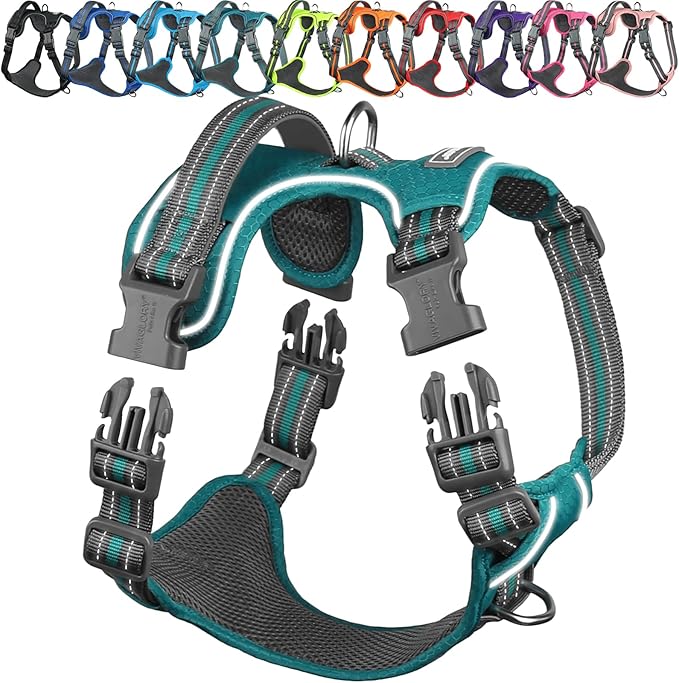 VIVAGLORY Dog Harness Easewalk No Pull Dog Harness with Handle & Front Back Clip for Training Lifting, Easy On Adjustable Padded No Pull for Pet & Puppy, M, Hunter Teal