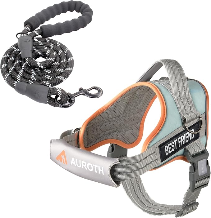 AUROTH Dog Harness and Leash Set, Soft Padded Service Dog Vest with 5.25FT Dog Leash, No Choke, Easy On Pet Vest, Adjustable Reflective No Pull Pet Vest Medium Sized Dog, Easy Walking and Training