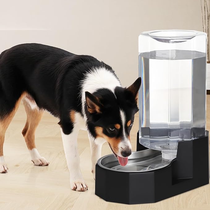 Sfozstra Large Dog Water Dispenser: 8L Automatic Black Stainless Steel Water Feeder with Specialized Brush - Gravity Design for Pets with Joint Issues - Use in Living Room Bedroom
