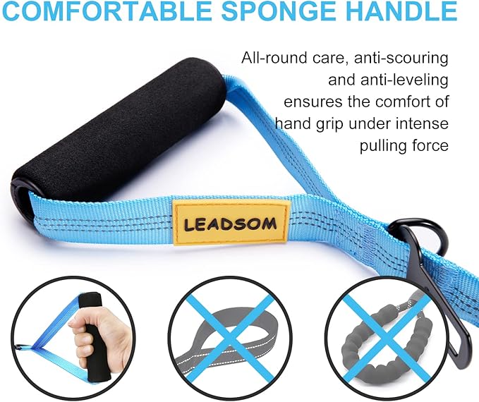 6FT Highly Reflective Heavy Duty Elastic Bungee Medium and Large Dog Leash Shock Absorbing with Comfortable Padded Handle and Traffic Handle Suitable for Training Light Blue