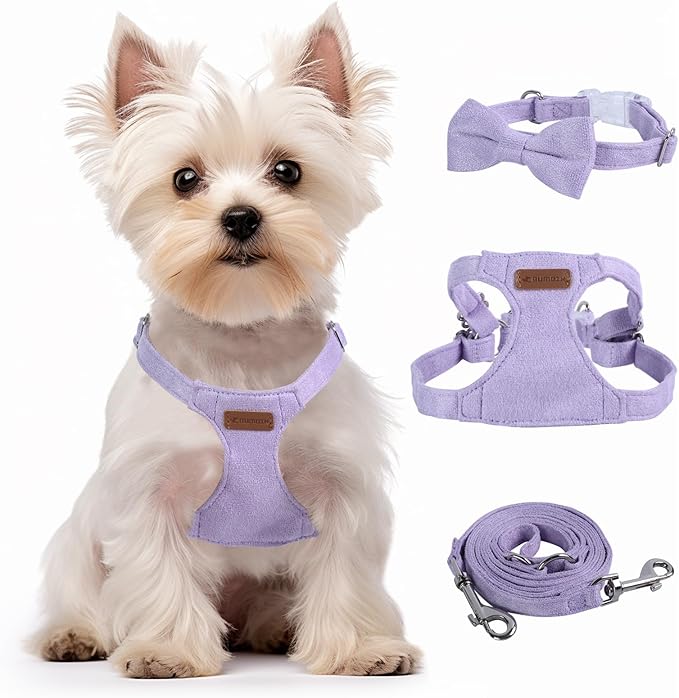 Dog Harness and Leash Set, S No Pull Adjustable Puppy Harness with Multifunction Purple Dog Leash and Collar, Soft No Choke Escape Proof Pet Harness Vest for Small Dogs and Cats (Purple, S)
