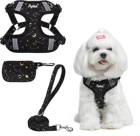 PUPTECK Dog Harness and Leash Set Small Sized, Step in No Pull Adjustable Puppy Cat Harness Reflective Pet Vest