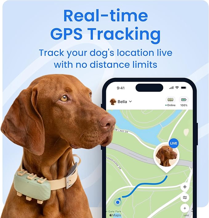 Tractive XL Smart Dog GPS Tracker | Live Pet Tracker with Virtual Fence | Vital Signs Monitoring of Heart & Respiratory Rate | Up to 1-Month Battery Life | Dog Collar Attachment (Green)