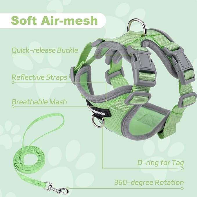 Small Dog Harness and Leash Set, No Pull Adjustable Pet Harness for Small Dogs, Breathable Mesh Rflective Dog Vest Harness (Green, S)