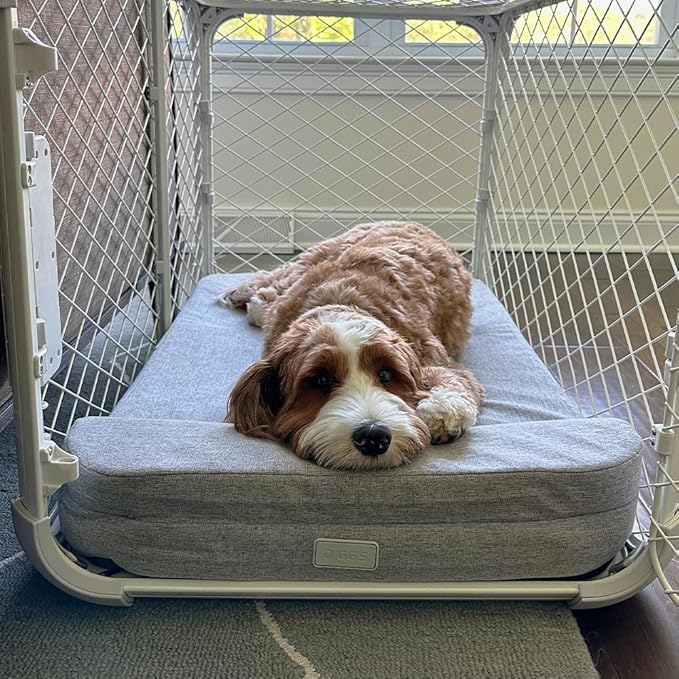 Diggs Bolstr Orthopedic Dog Bed with Headrest - Dog Crate Bed for Evolv Crate & Other Standard Pet Kennels - Durable & Comfortable - (Intermediate)