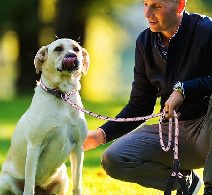 6 FT Dog Leash, Durable Premium Quality Strong Training Rope Slip Leash with Comfortable Padded Handle and Highly Reflective Threads for Small Medium and Large Dogs, (Light Pink)