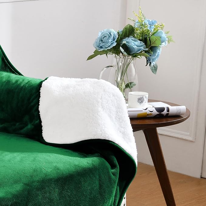 Waterproof Blanket for Bed Couch Sofa, Soft Liquid Pee Proof Pet Blanket for Dog Puppy Cat, Reversible Sherpa Fleece Furniture Protector (Green, 30x40 inches)