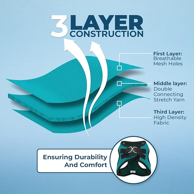 Voyager Step-in Air All Weather Mesh Harness and Reflective Dog 5 ft Leash Combo with Neoprene Handle, for Small, Medium and Large Breed Puppies by Best Pet Supplies - Turquoise (2-Tone), L