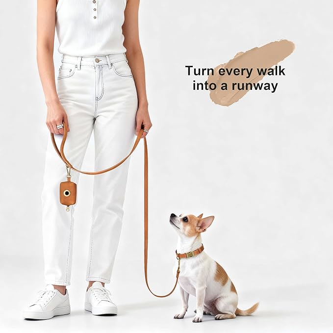 Didog Soft PU Leather Dog Collar, Stylish Quick Released Dog Collars for Small Dogs, Easy Clean Adjustable Pet Collar for Daily Walking, Light Brown, S Fit 10-16" Neck