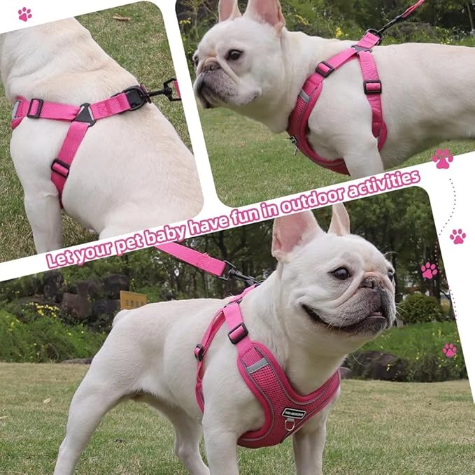 Dog Harness and Leash Set, Adjustable Triangle, Reflective Adjustable Puppy Vest, No Pull Soft Mesh Harness for Small, Medium Dogs, Cats (Fuchsia, M)